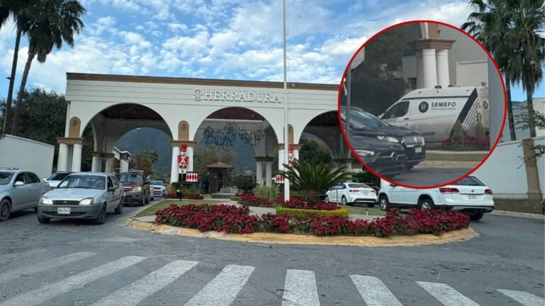 Plecas e informacion - 2025-12-23T175252.069