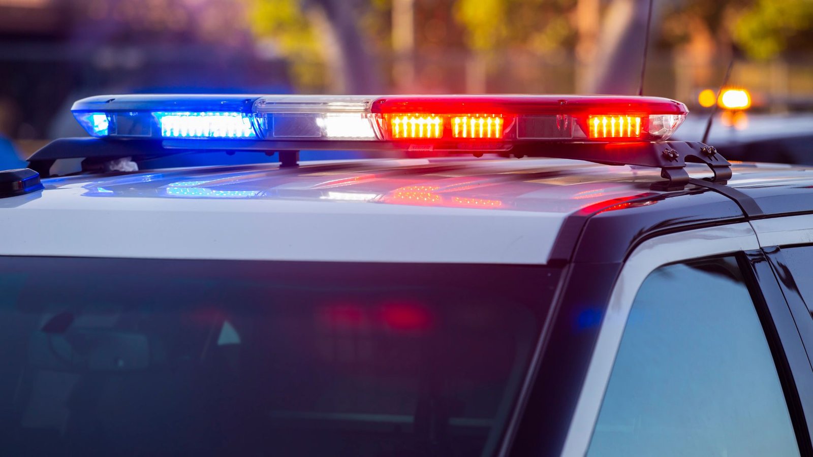 Plecas e informacion - 2025-12-26T151335.445