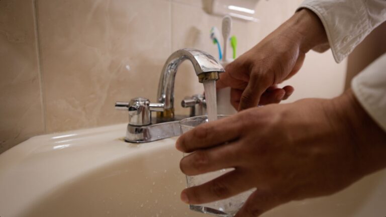 Plecas e informacion - 2025-12-29T122535.023