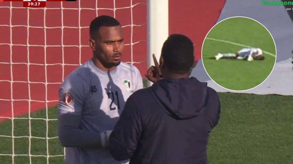 Plecas e informacion - 2025-12-29T175316.403