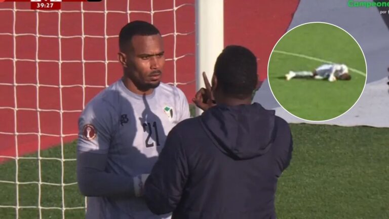 Plecas e informacion - 2025-12-29T175316.403