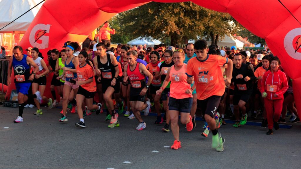 Plecas e informacion - 2025-12-29T182507.771