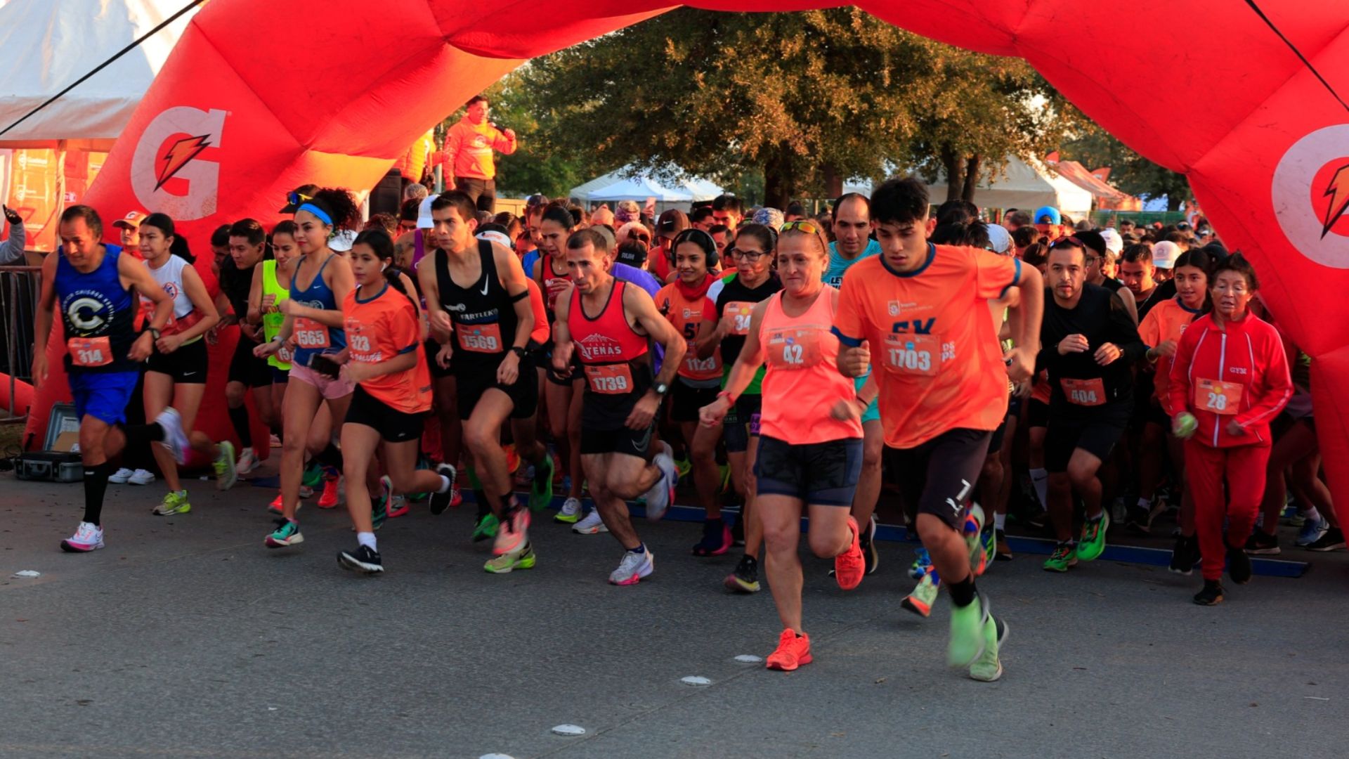 Plecas e informacion - 2025-12-29T182507.771