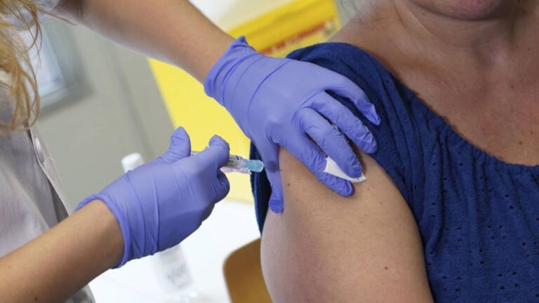 Plecas e informacion - 2025-12-30T164513.619