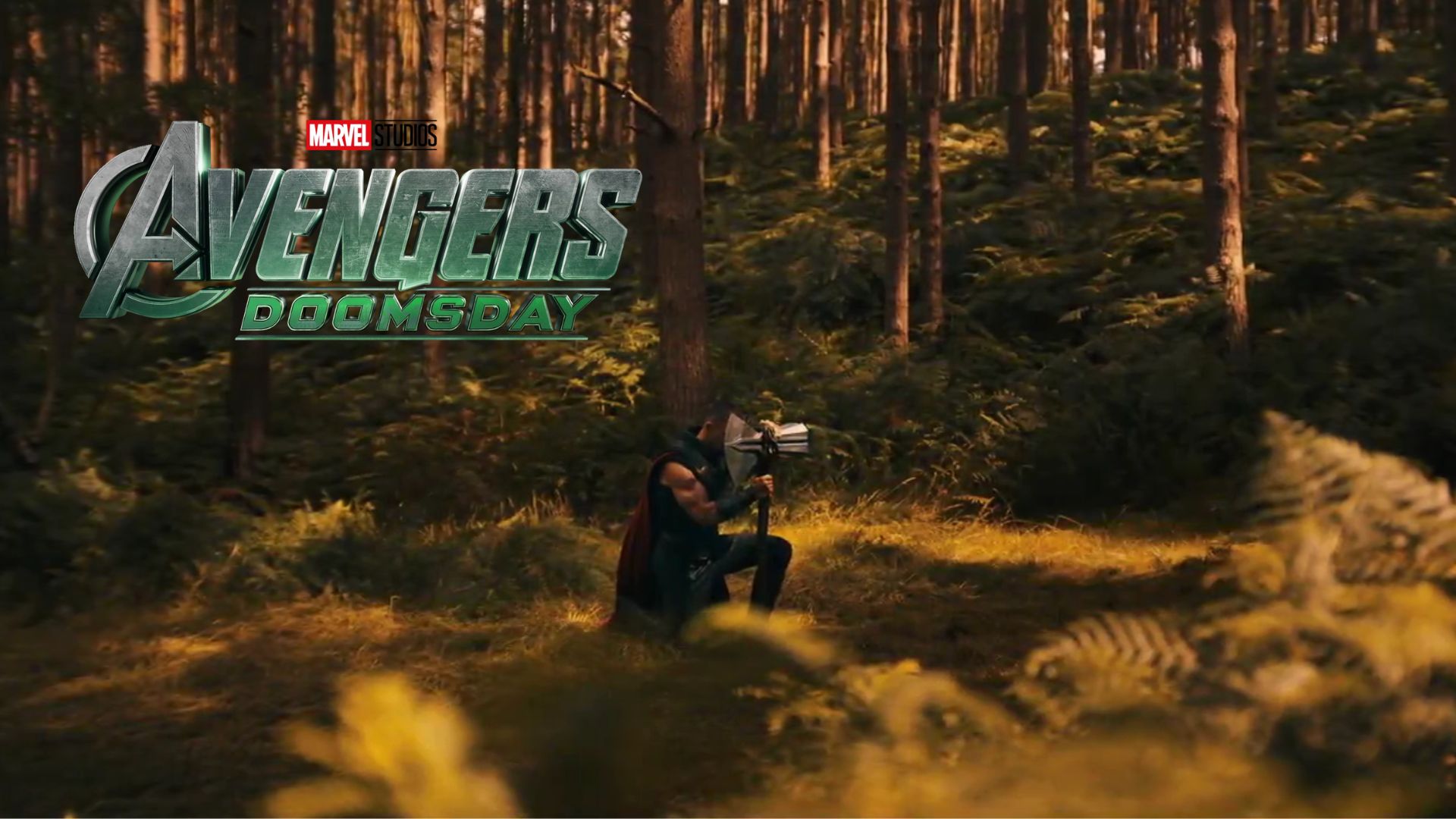 Plecas e informacion - 2025-12-30T165429.674