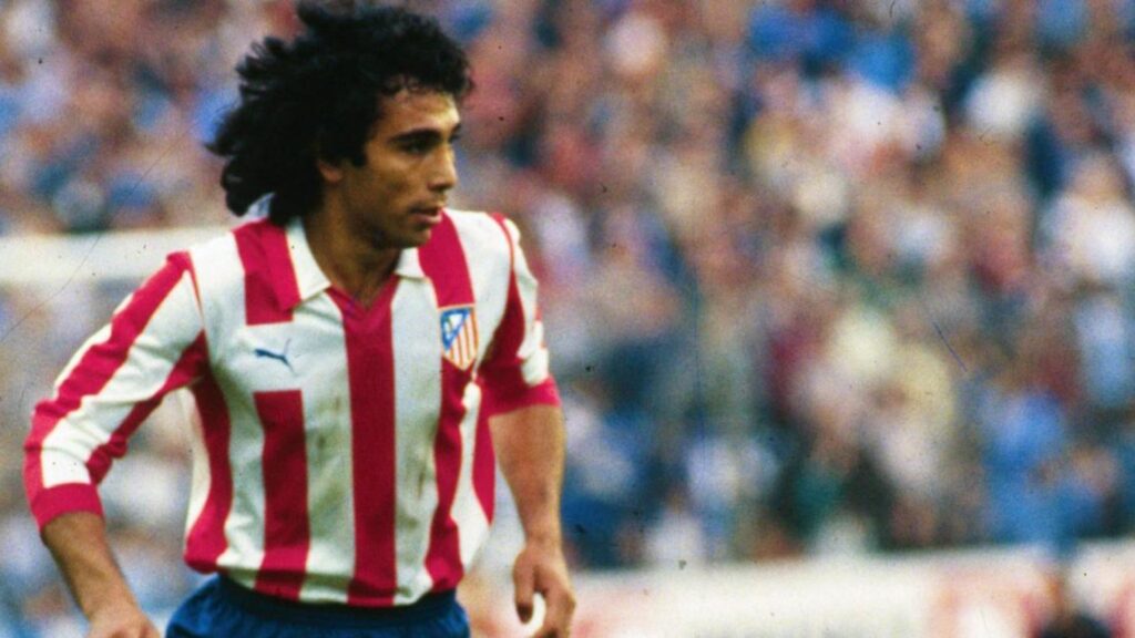 Plecas e informacion - 2025-12-30T172032.672