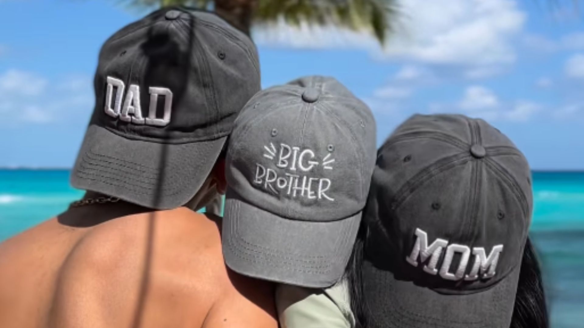 Plecas e informacion - 2025-12-31T124458.508