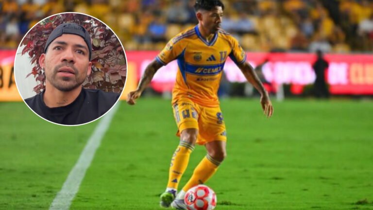 Plecas e informacion (21)