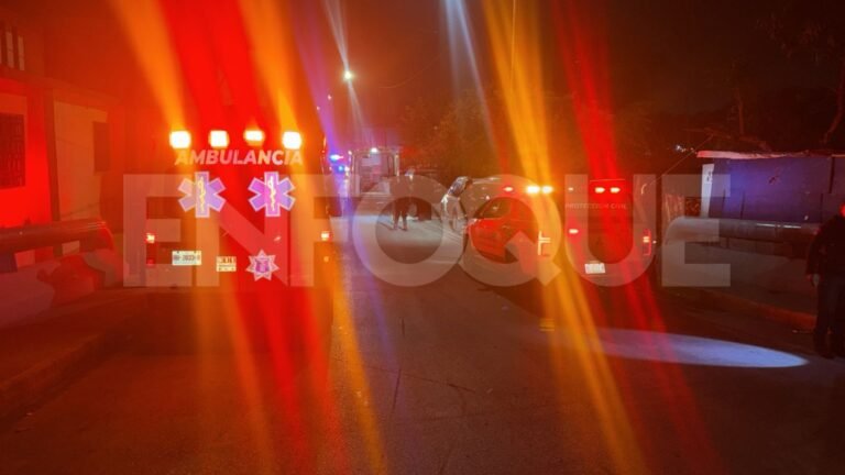 Plecas e informacion (22)