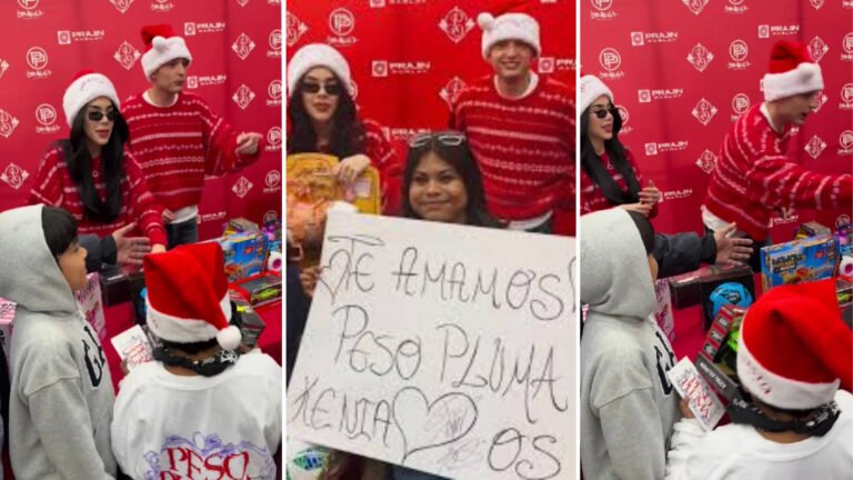 Plecas e informacion (25)