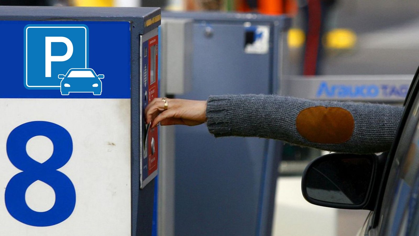 Plecas e informacion (27)