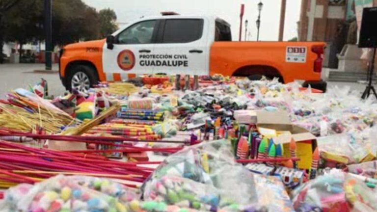 Plecas e informacion (36)