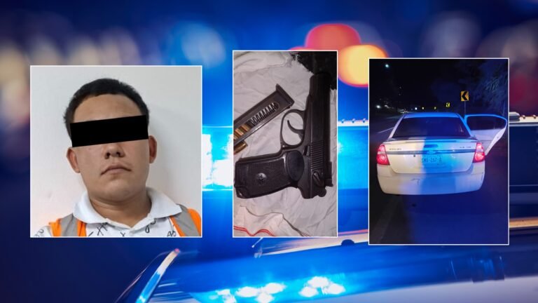 Plecas e informacion (44)