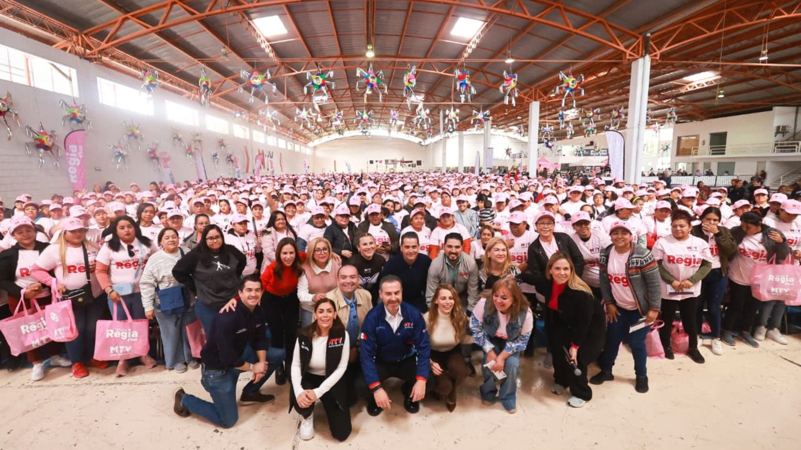 Plecas e informacion (49)