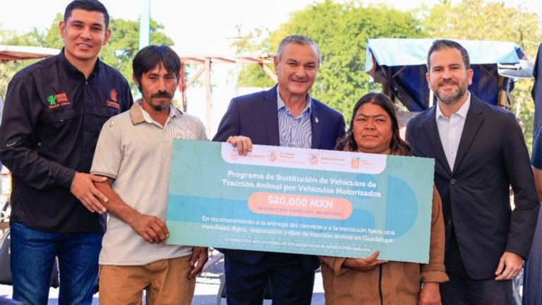 Plecas e informacion (50)