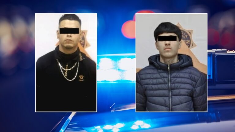 Plecas e informacion (62)