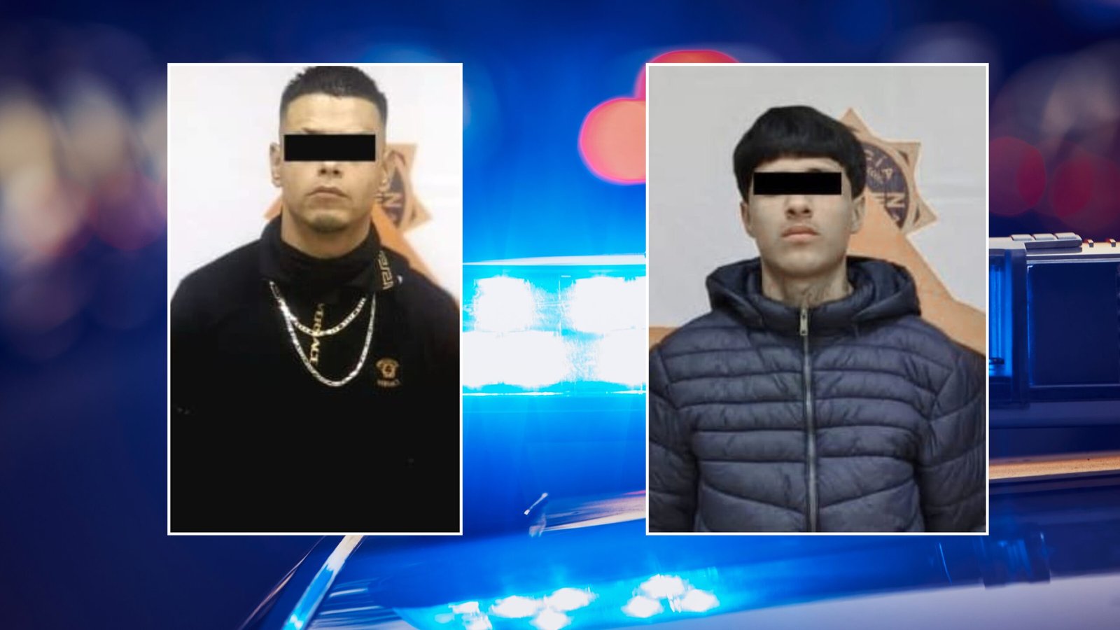 Plecas e informacion (62)