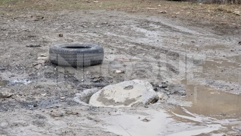 Plecas e informacion (63)