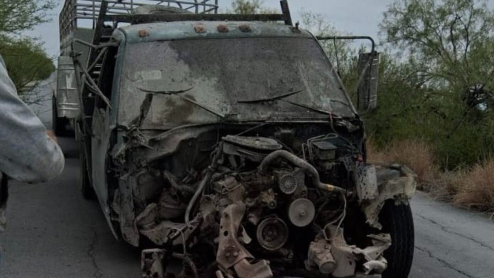 Plecas e informacion (65)