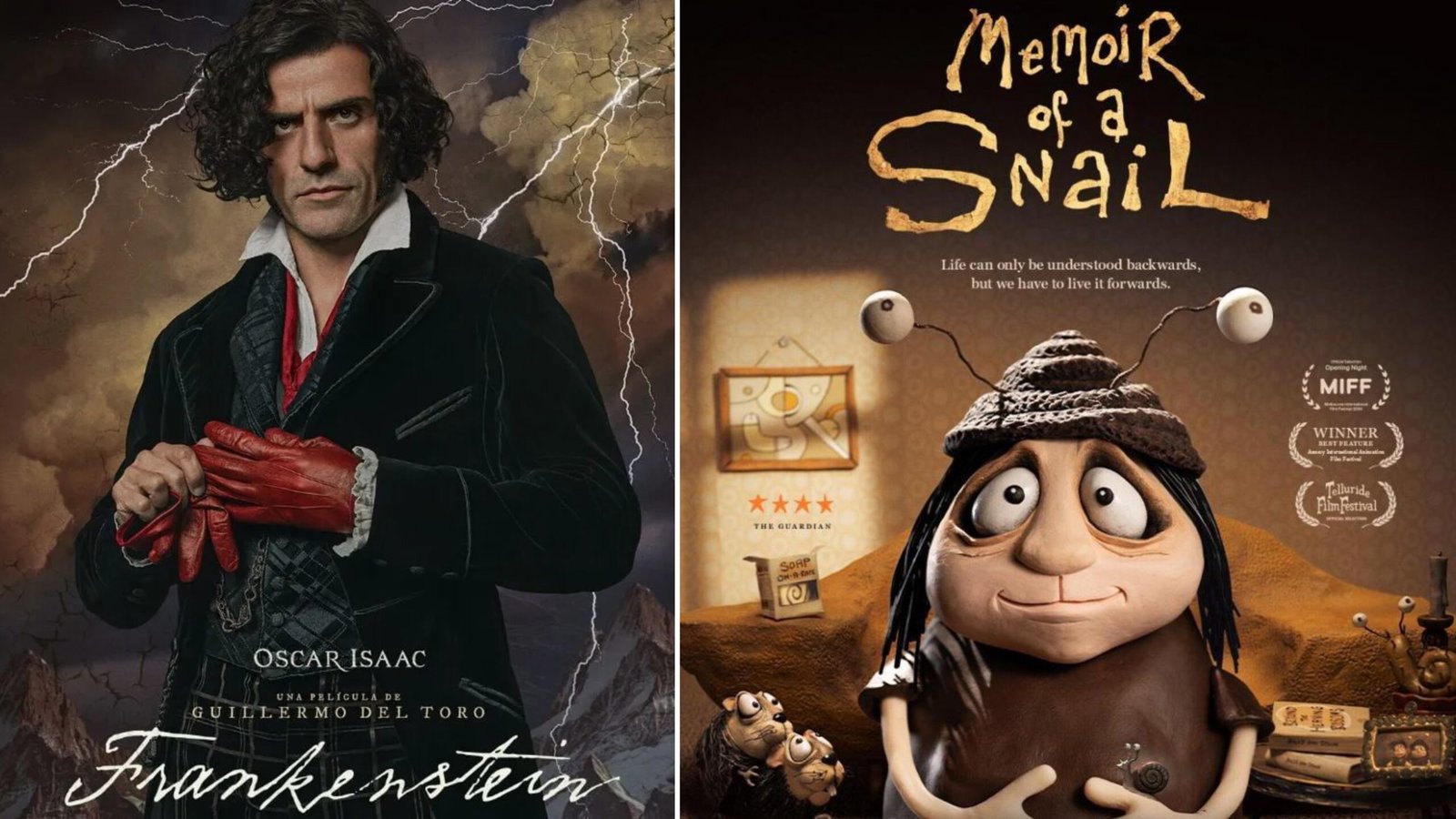 Plecas e informacion (67)