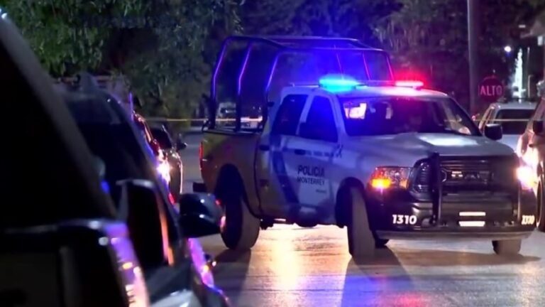 Plecas e informacion (7)