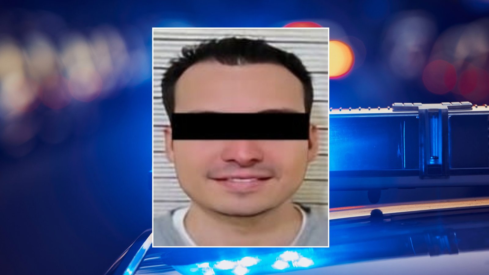 Plecas e informacion (70)