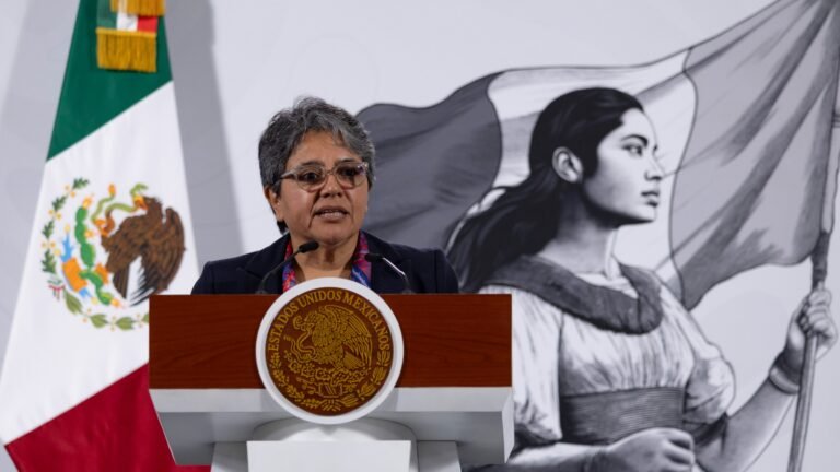 Plecas e informacion (71)