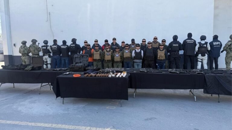 Plecas e informacion (77)