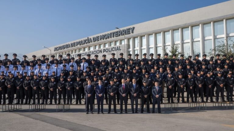 Plecas e informacion (78)