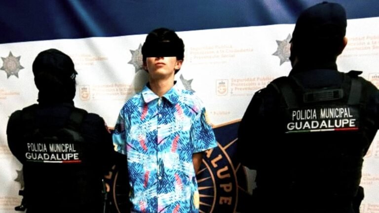 Plecas e informacion (79)