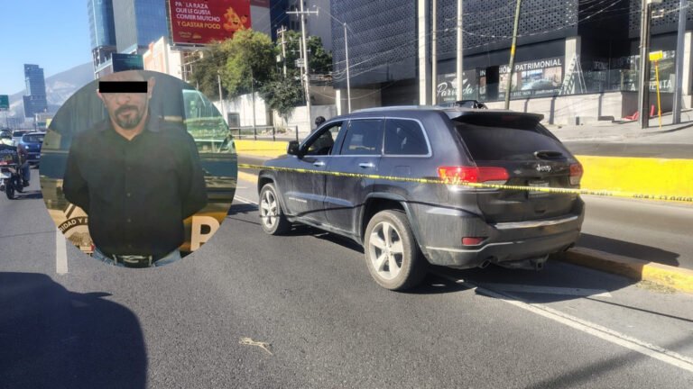 Plecas e informacion (8)