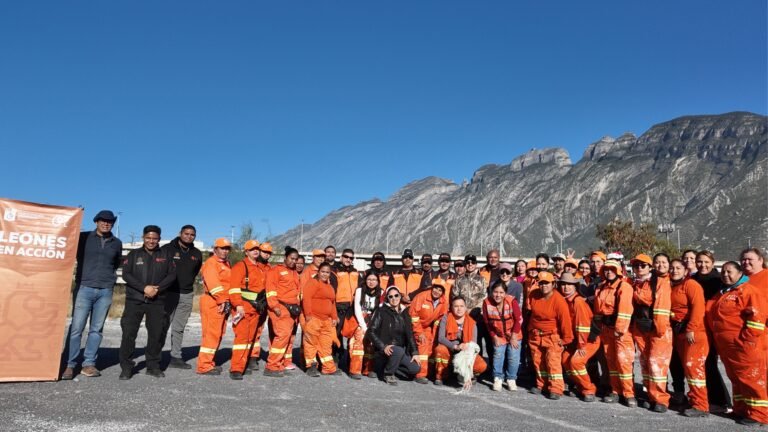 Plecas e informacion (80)