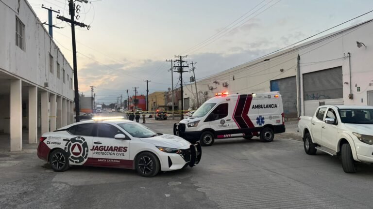 Plecas e informacion (82)