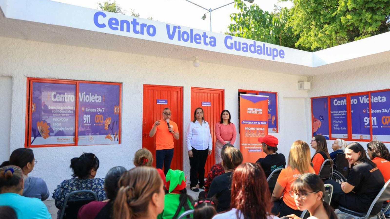 Plecas e informacion (85)