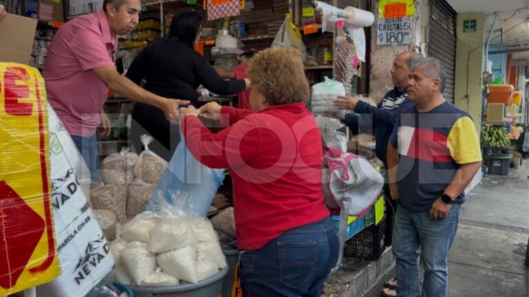 Plecas e informacion (88)