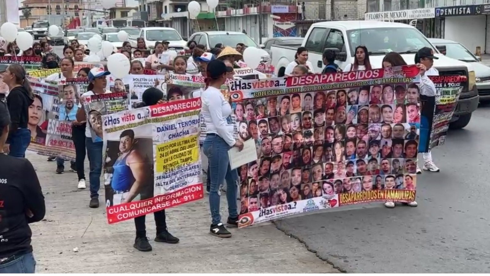 Plecas e informacion (91)