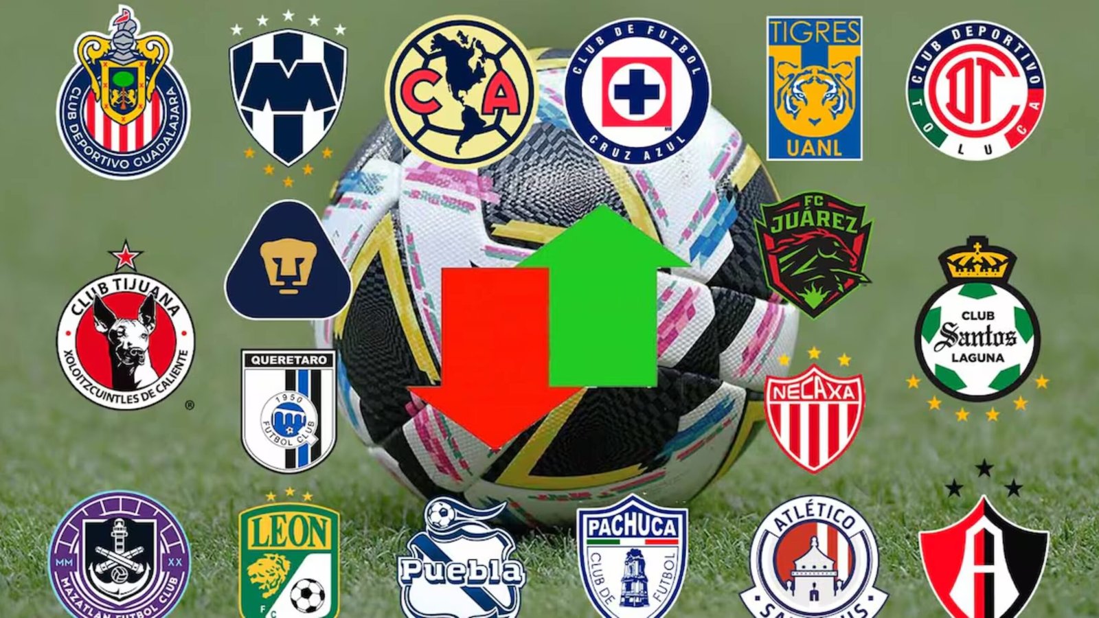 Plecas e informacion (96)