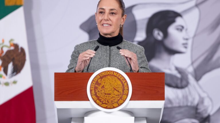 Plecas e informacion (98)