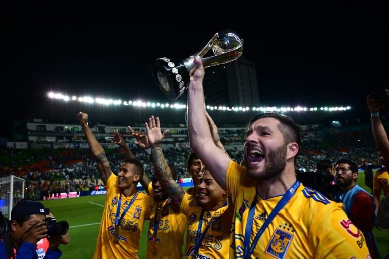 TIGRES CAMPEON