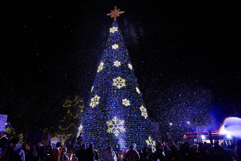 WhatsApp Image 2025-12-03 at 3.04.56 PM