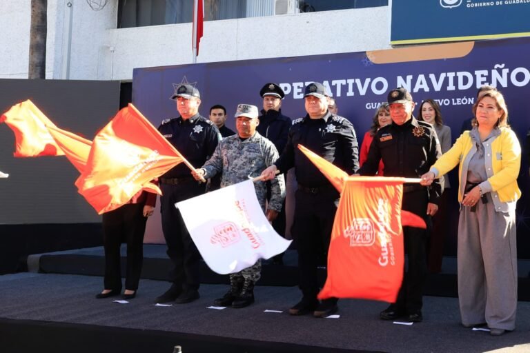 WhatsApp Image 2025-12-11 at 11.56.59 AM