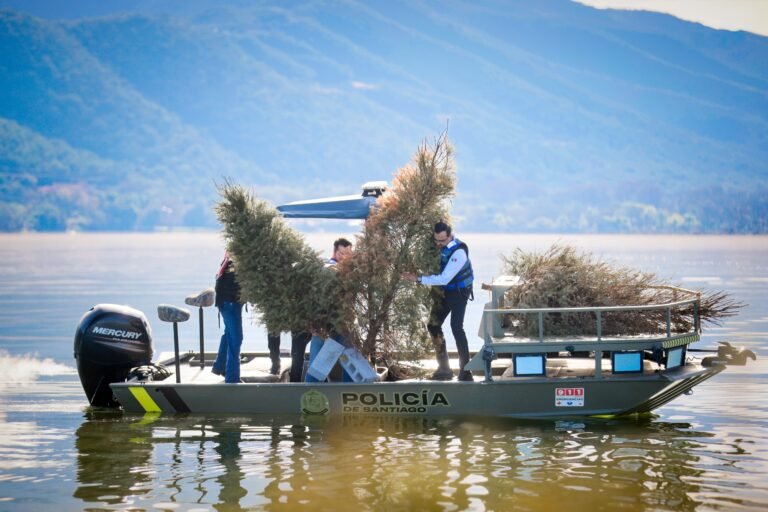 51cdfd60-6e52-4e7b-a5b3-b13c8a89edcc