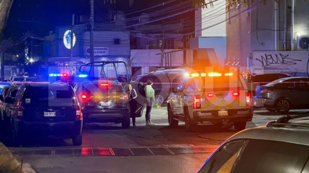 Plecas e informacion