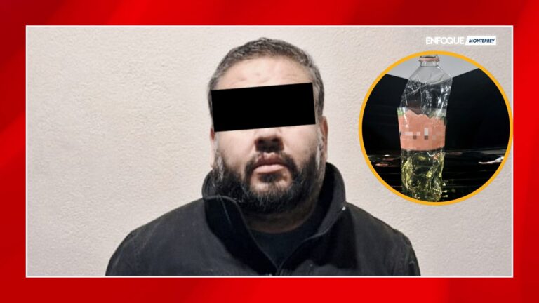 Plecas e informacion (11)