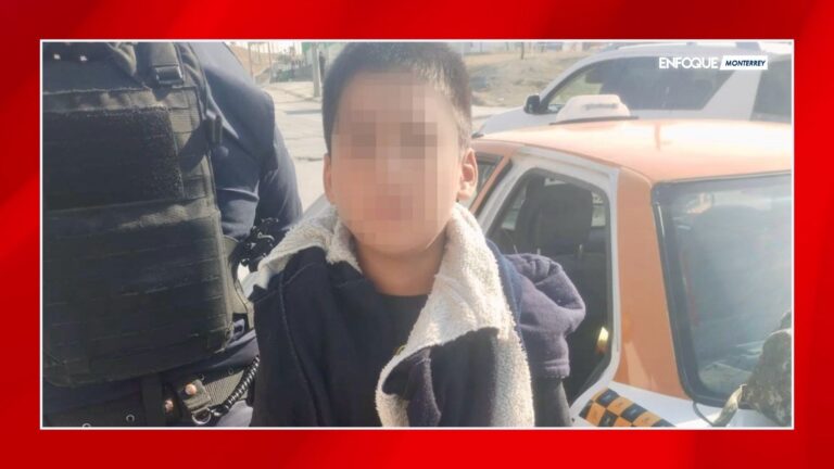 Plecas e informacion (12)