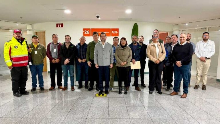 Autoridades combaten plaga del insecto descortezador en Nuevo León