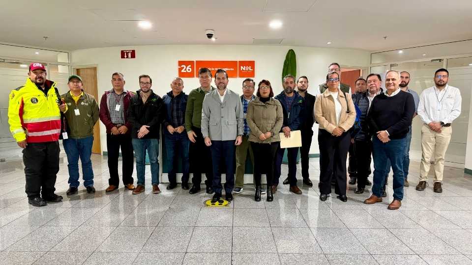 Autoridades combaten plaga del insecto descortezador en Nuevo León