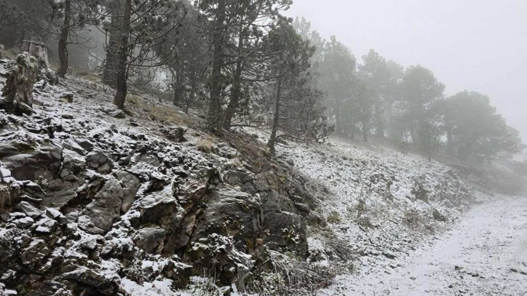 Cae nieve en Galeana y aguanieve en la Sierra de Santiago, Nuevo León