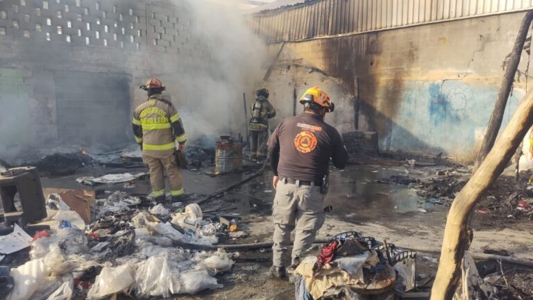 Plecas e informacion - 2026-01-02T163513.652