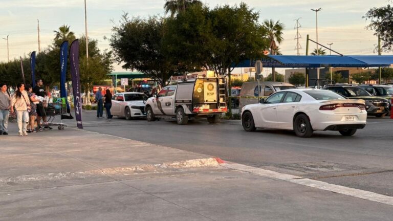 Plecas e informacion - 2026-01-02T175222.948